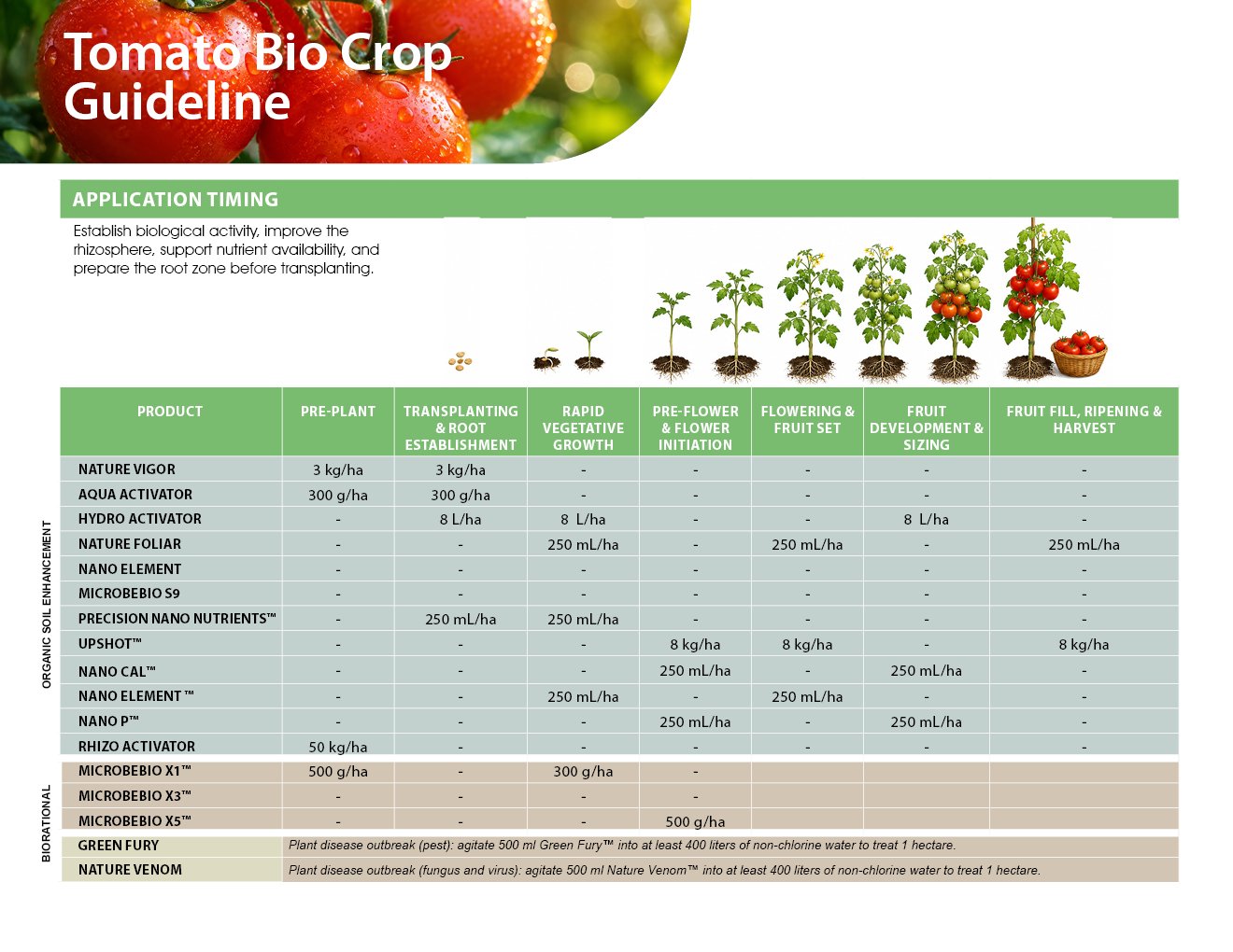 MICROBEBIO - TOMATO - ENGLISH - 08 10 20264