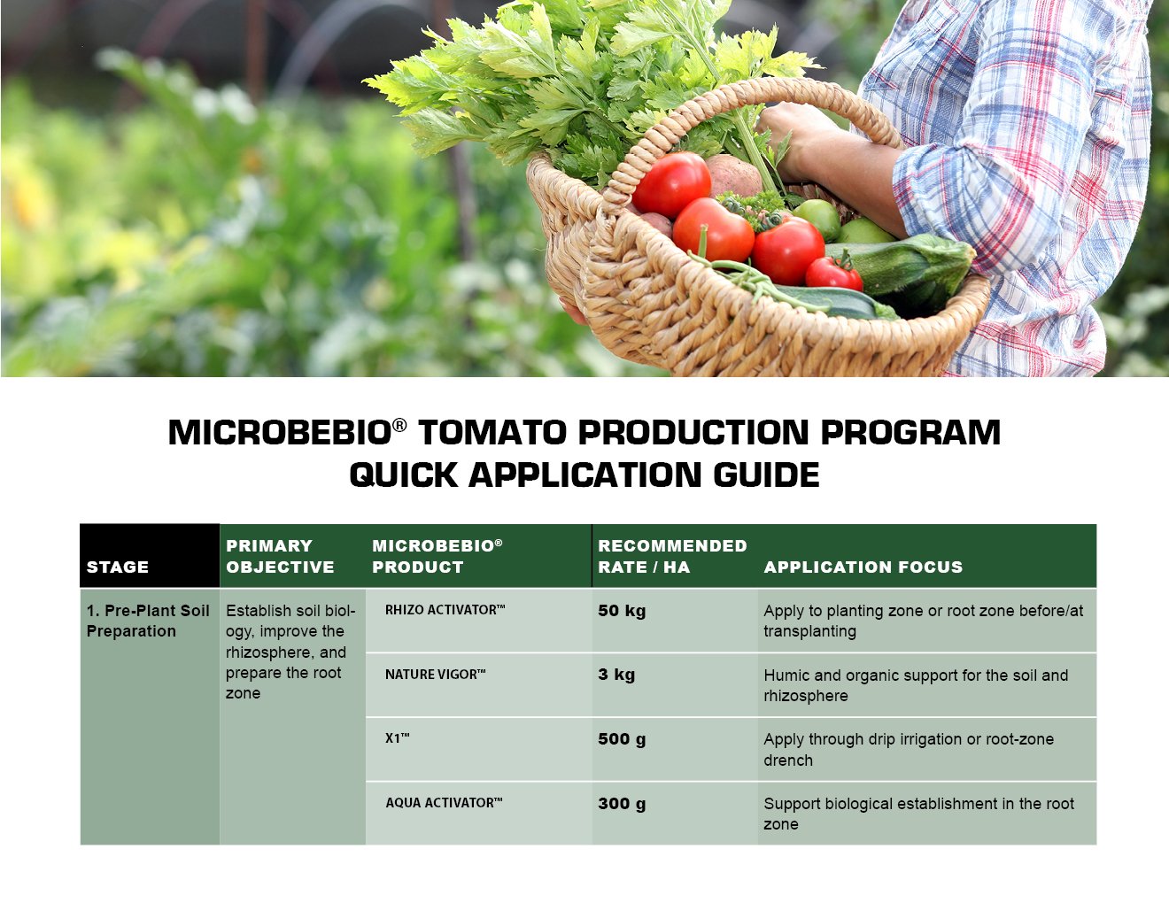 MICROBEBIO - TOMATO - ENGLISH - 08 10 20265