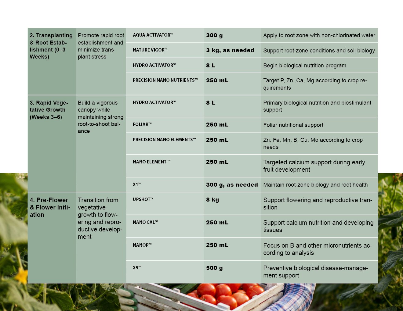 MICROBEBIO - TOMATO - ENGLISH - 08 10 20266