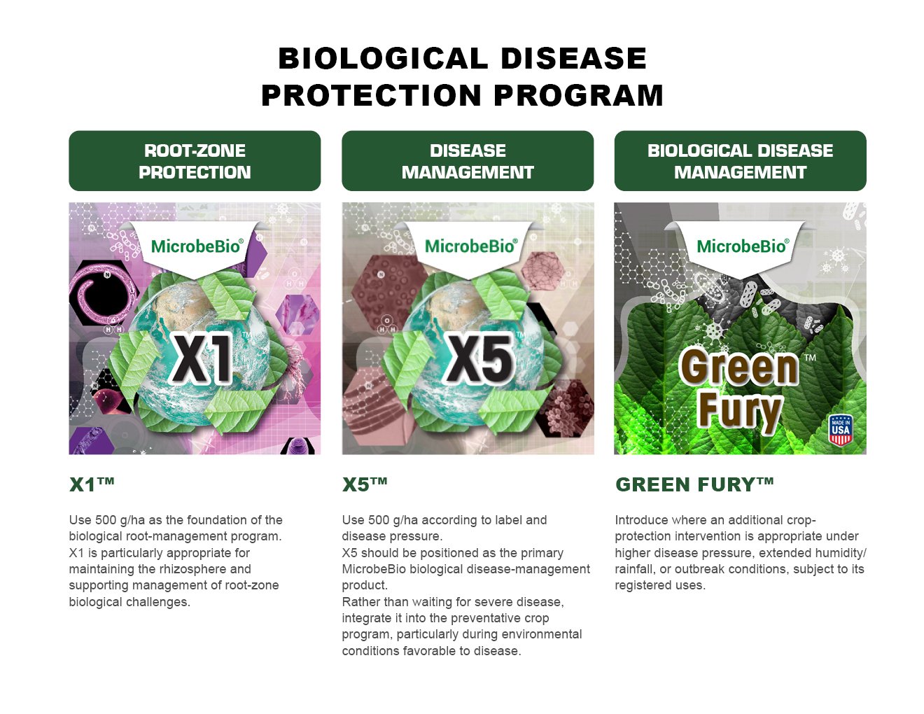 MICROBEBIO - TOMATO - ENGLISH - 08 10 20269